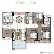 团队可以或许供给专业的购房政策