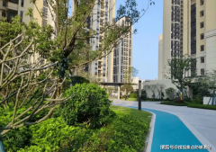 无论是刚需的紧凑适用